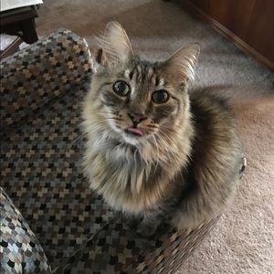 Meet your Posher, Brianna